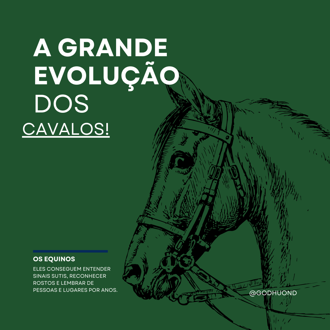 Bem-vindo ao GodHuond